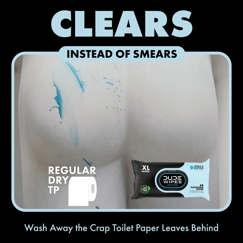 DUDE Wipes Medicated Flushable Wipes 48 Count Extra Large Witch Hazel Aloe Vera gallery