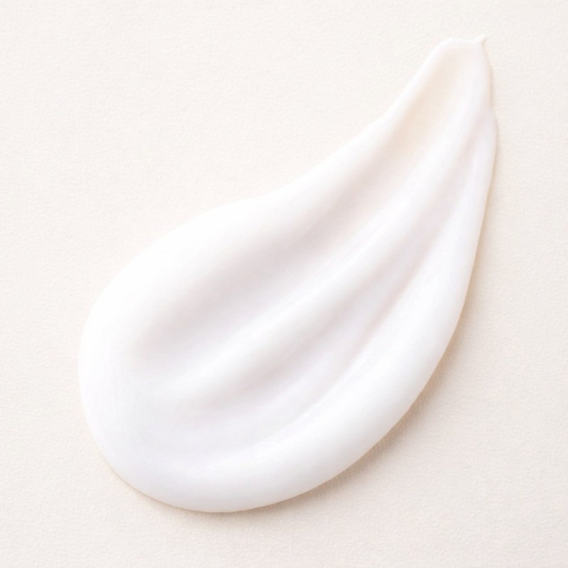 [K-Vegan Beauty] HAYEJIN Rice Filla Moisturizing Cream | Korean Vegan Skincare gallery