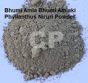Bhumi Amla Bhumi Amlaki Phyllanthus Niruri Powder 1kg (35.27 OZ).