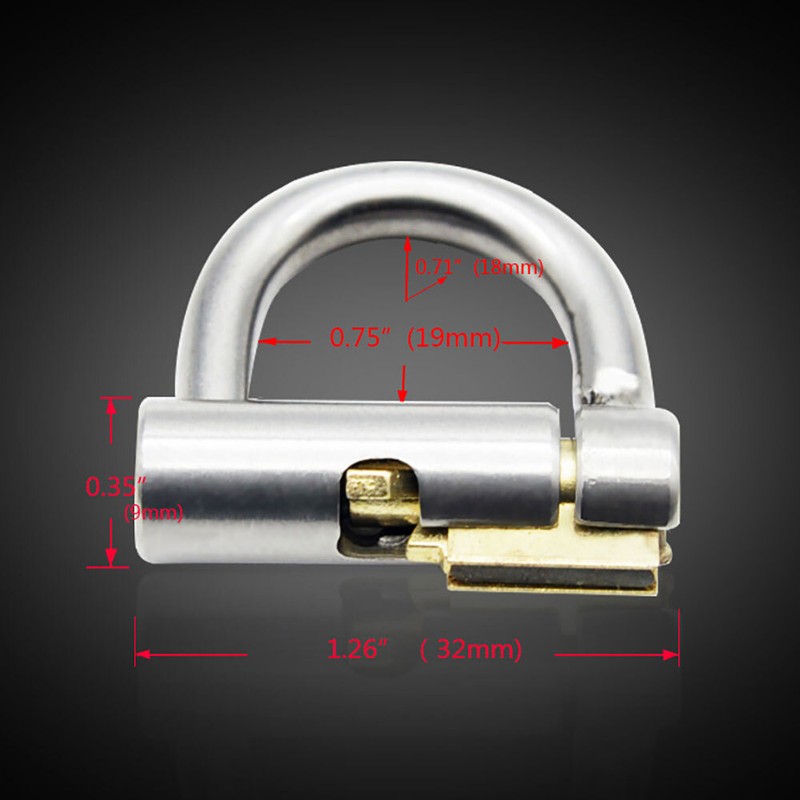 USA Stainless Steel Male PA LOCKED CHASTITY PIERCING Titanium D-Ring PA Lock gallery