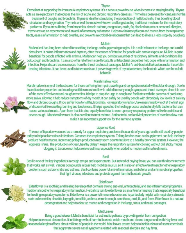 Lung Detox Breathing Tea Support in Cough, Shortness of Breath, Congestion ect. gallery