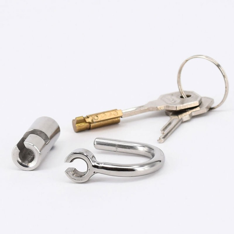 USA Stainless Steel Male PA LOCKED CHASTITY PIERCING Titanium D-Ring PA Lock gallery