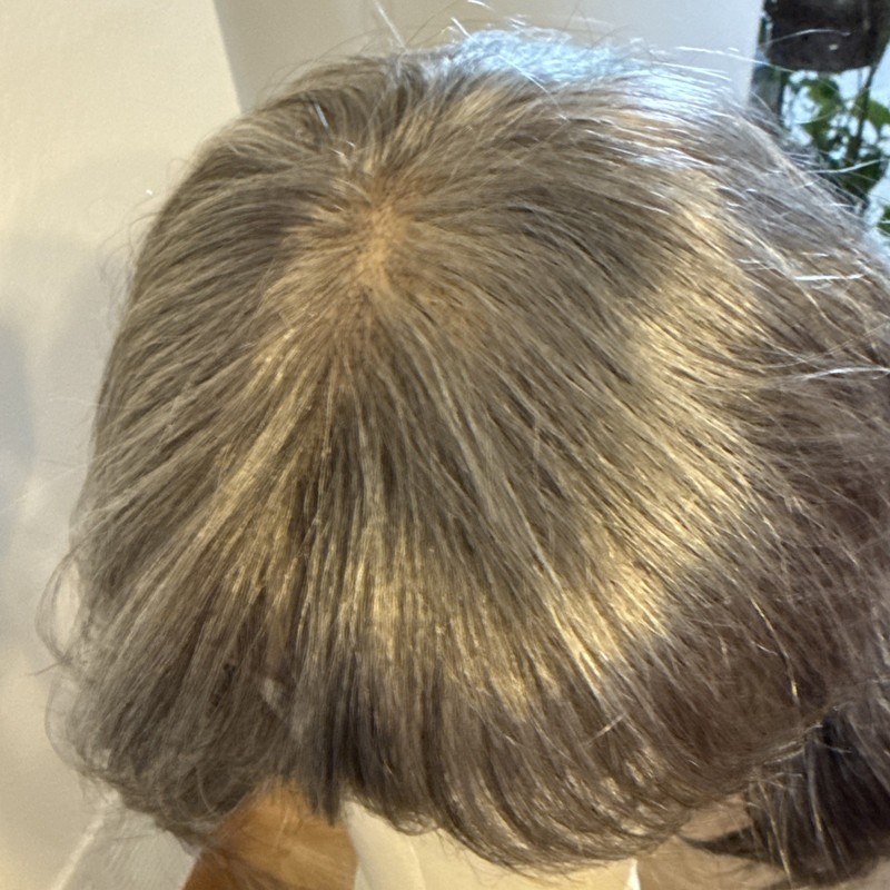 615 Human Hair Salt And Pepper 12” Lace Front With Bangs Very Soft Nice gallery