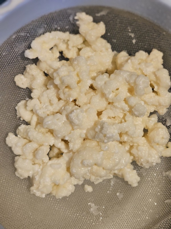 Kefir Grains Starter – Live Organic Milk Culture with Instructions – 2 tbsp