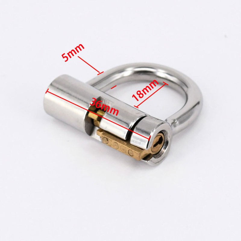 USA Stainless Steel Male PA LOCKED CHASTITY PIERCING Titanium D-Ring PA Lock gallery
