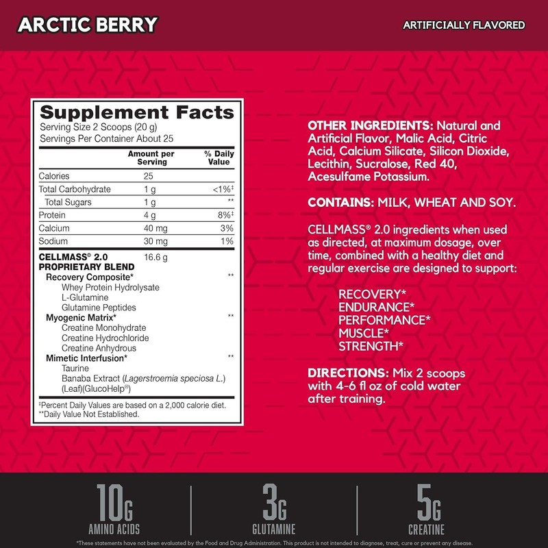 Post Workout Recovery Powder Creatine BCAA Glutamine Keto Arctic Berry gallery