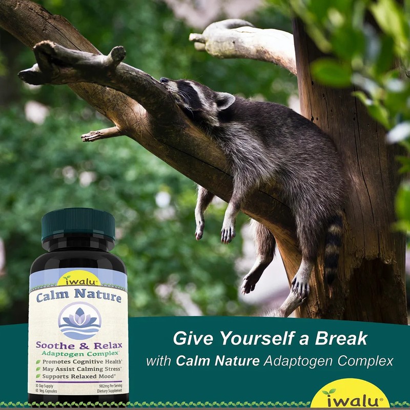Sleep Aid Otc | Best Supplement Capsule Pill Men Women FREE SHIP gallery
