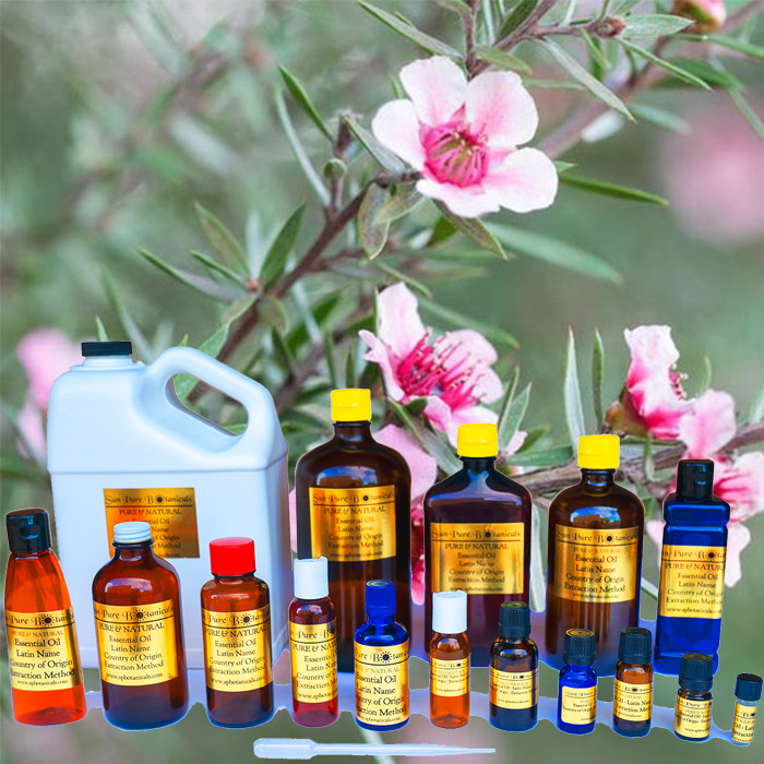 Tea Tree Essential Oil – 100% PURE NATURAL – Sizes 3 ml to 1 Gallon – WHOLESALE