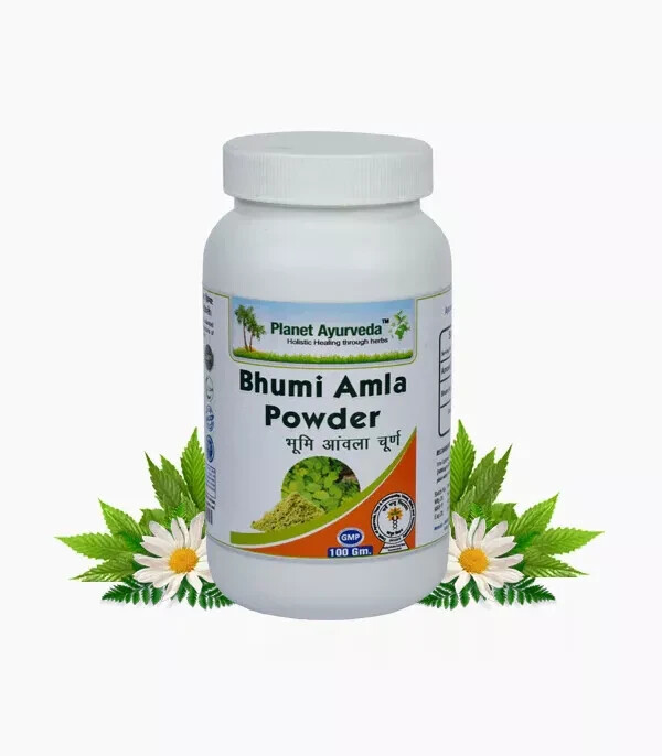 Planet ayurveda BHUMI AMLA POWDER 100 GM Free Shipping