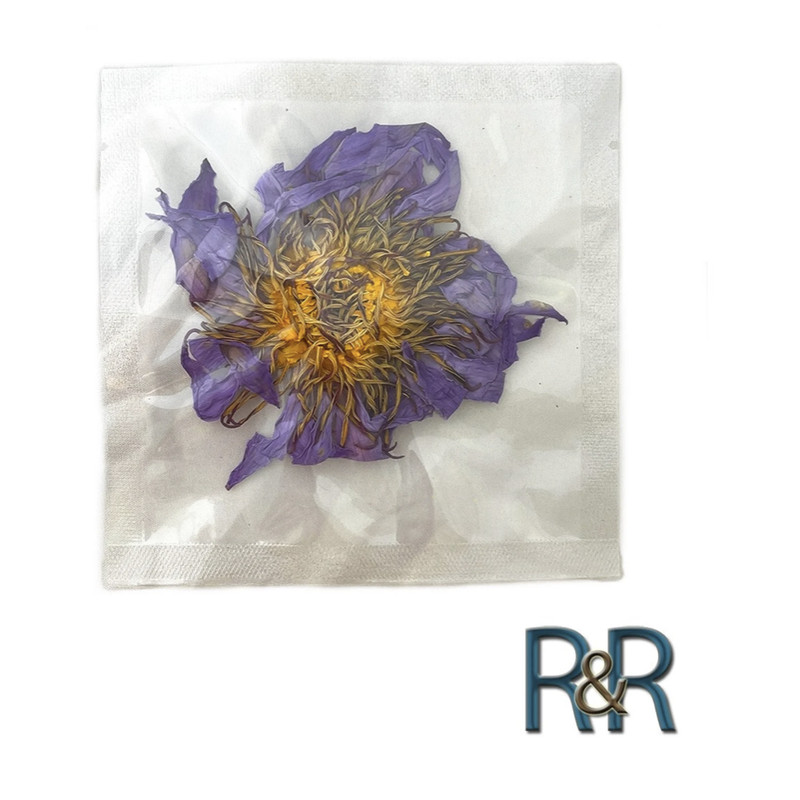 Organic Whole Blue Lotus Flower Sealed Packs Nymphaea caerulea) 6x Pack