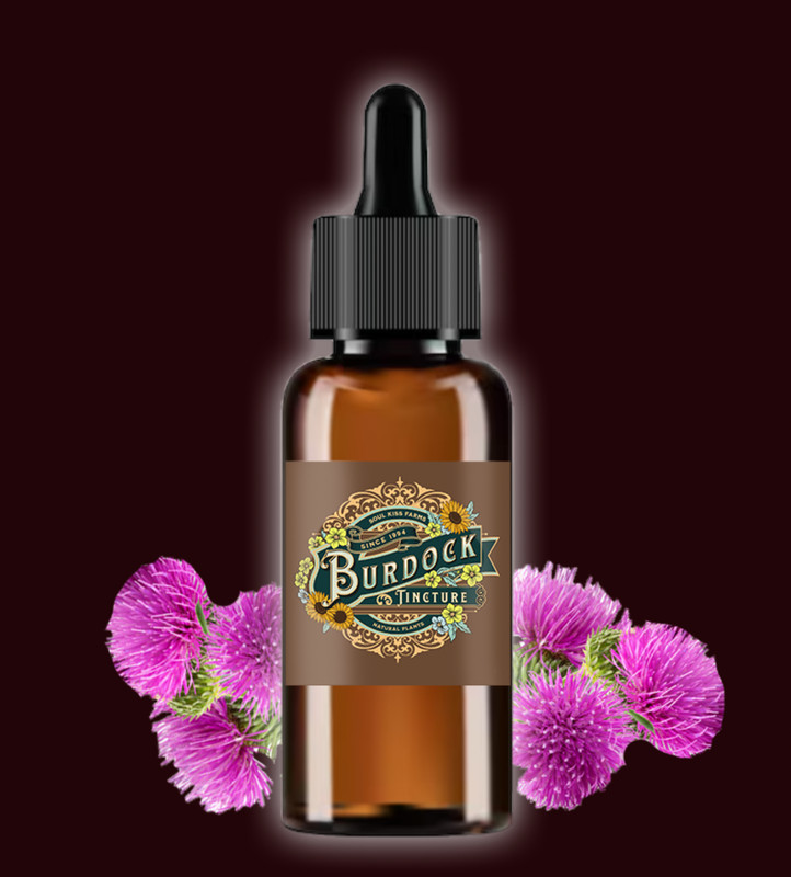 Burdock Root Extract 1 fl oz Burdock Extract Burdock Tincture FREE SHIP USA