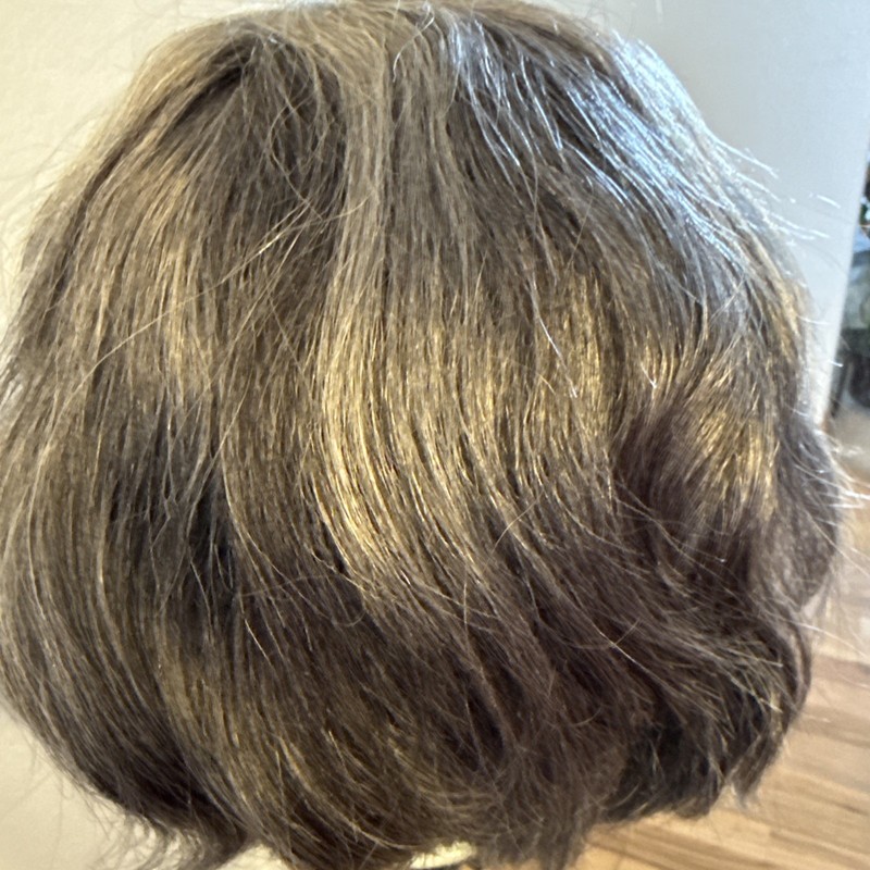 615 Human Hair Salt And Pepper 12” Lace Front With Bangs Very Soft Nice gallery