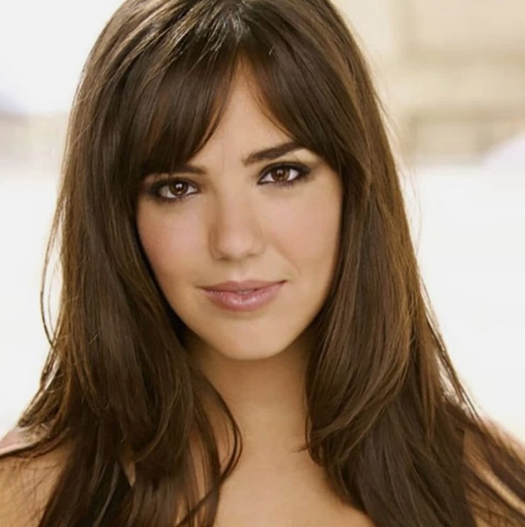 Auburn Brown Wig with Bangs Long Straight Synthetic hair None Lace Front Wigs gallery