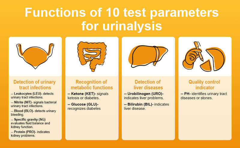 10-Way Urine Test Strips URS-10T | Home Urinalysis for General Health Monitoring gallery