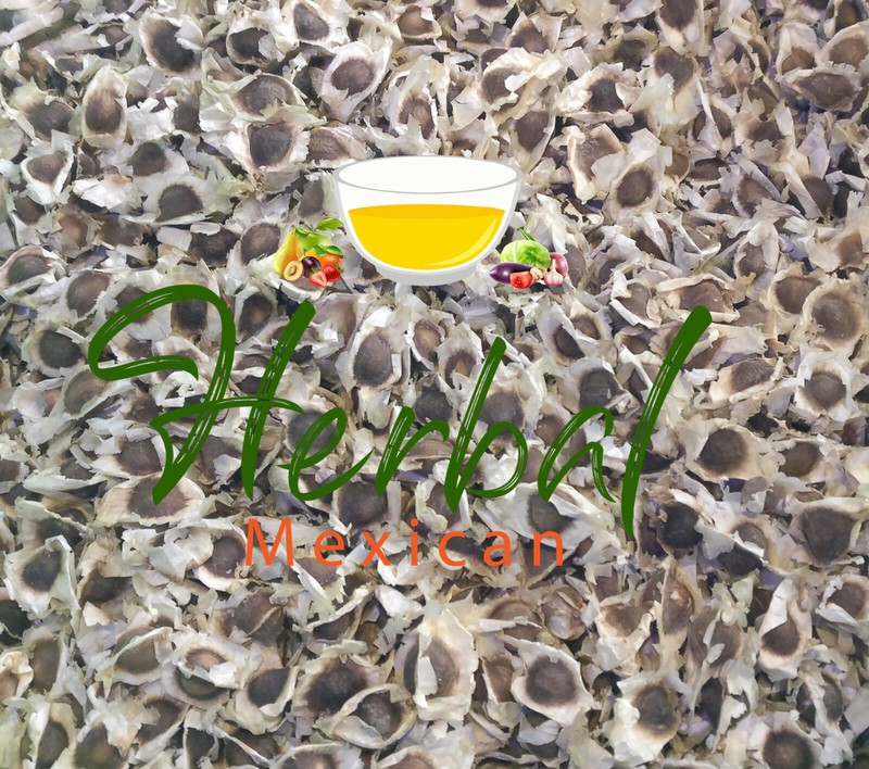 Semillas de Moringa, Moringa Seeds, Moringa oleifera Seeds, Organic moringa Seed gallery