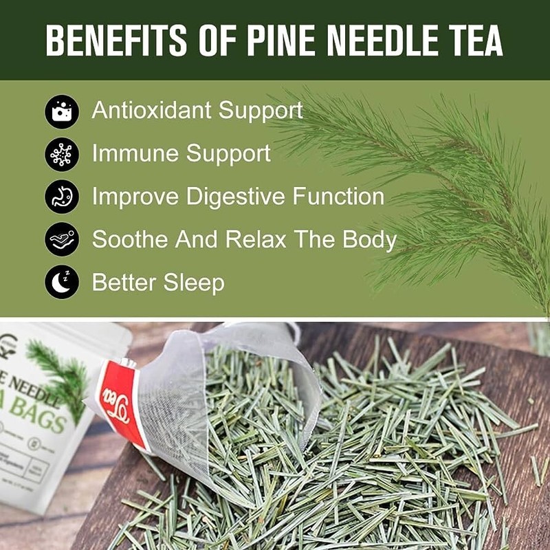 PINE NEEDLE TINCTURE Herbal Dual Extract Suramin Shikimic Acid BIG!! 2oz USA gallery