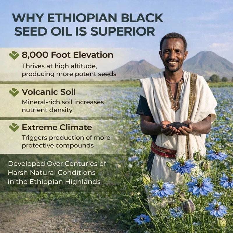 Ethiopian Black Seed Oil Softgels |4.64% Thymoquinone |Gluten-Free, 60 capsules gallery