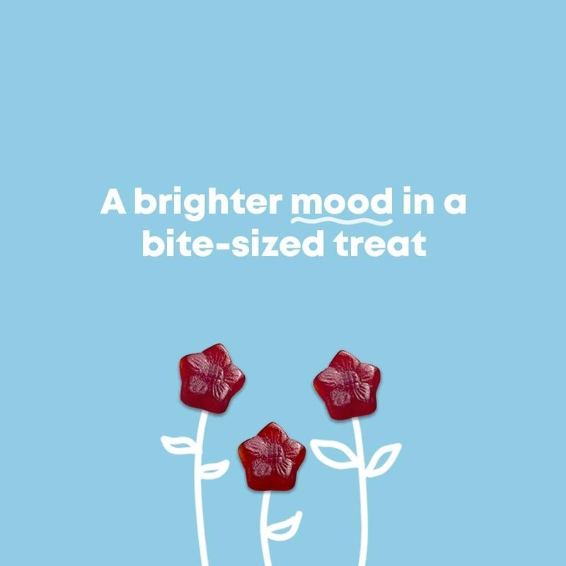 JoySpring Saffron Mood Munchies Gummies – Plant-Based Saffron Formula for Daily gallery