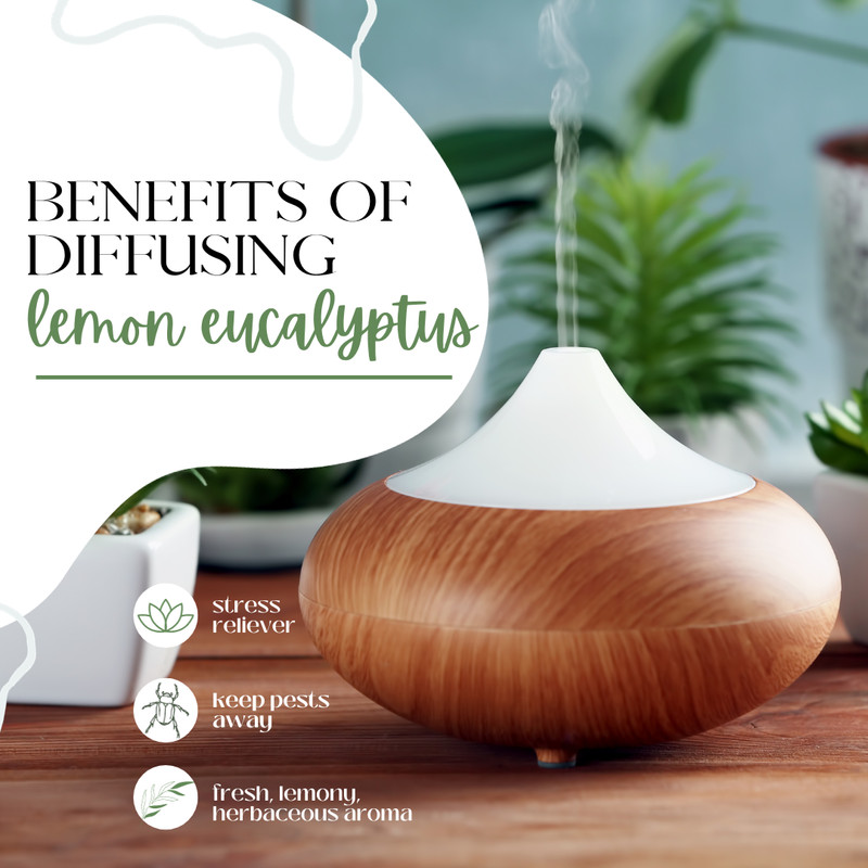 Lemon Eucalyptus Essential Oil 100% Pure Free Shipping Many Sizes gallery