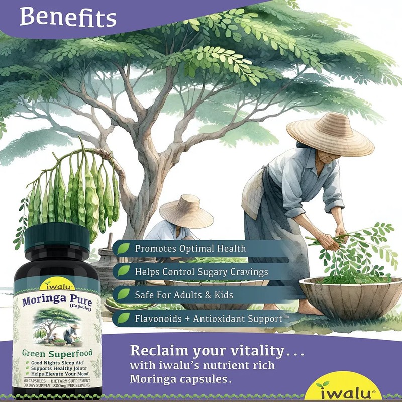 Moringa Oleifera Tablets | Best Supplement Capsule Pill Men Women FREE SHIP gallery