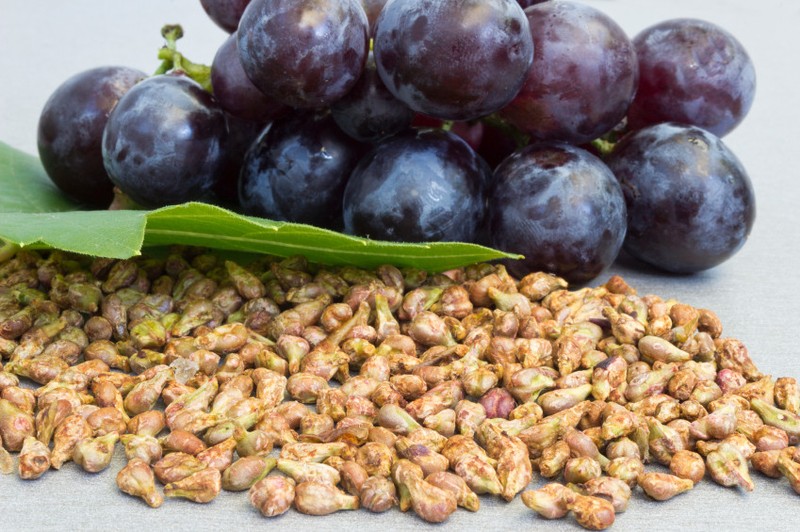 Antioxidant power – GRAVIOLA - GRAPE SEED EXTRACT COMBO - grape seed rich grape gallery