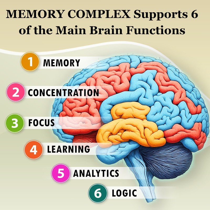 Premium Memory Complex Brain Booster Focus Clarity short & long term Nootropic gallery