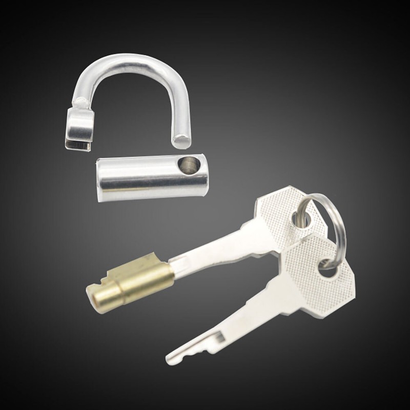USA Stainless Steel Male PA LOCKED CHASTITY PIERCING Titanium D-Ring PA Lock gallery