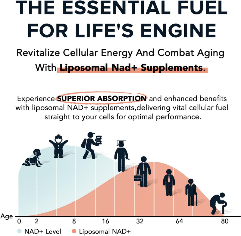 1600 Mg Liposomal NAD Supplement, 98% Pure NAD+ Supplement, Superior Absorption, gallery