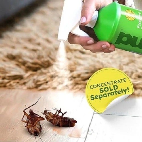 BugMD Essential Concentrate Use Pest Pure 100% Refillable Spray Bottle 32 oz gallery