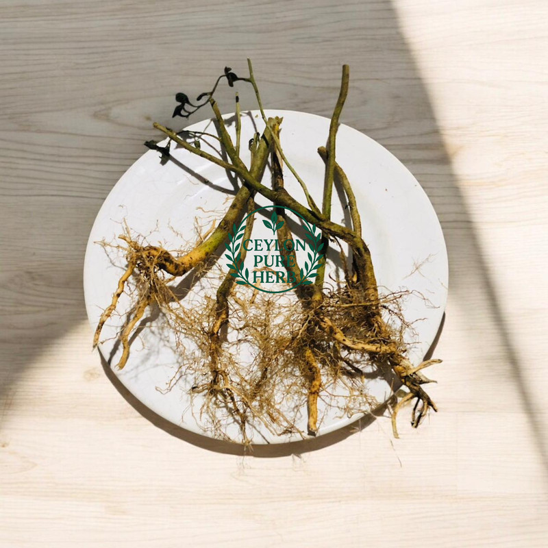 Wildcrafted Sida Acuta Organic Dried Leaves, Roots & Herb Fresh Air-Dried Herb gallery