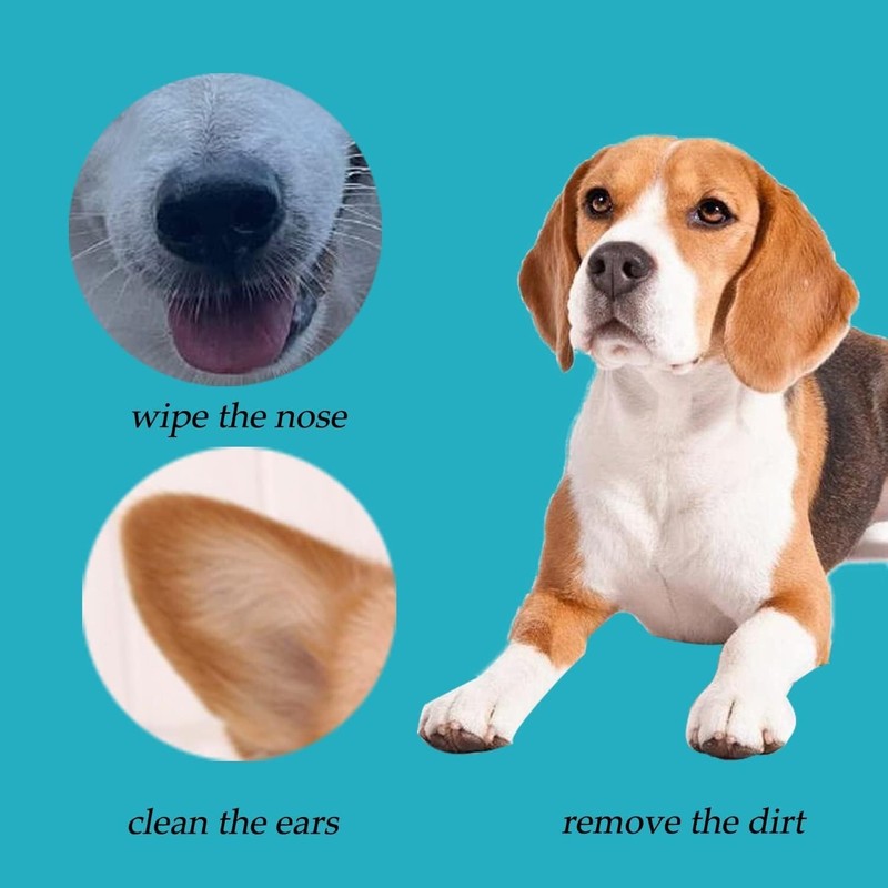 6 Inch Long Cotton Swabs (Large Size) 100pcs for Pets, Cleaning or Makeup gallery