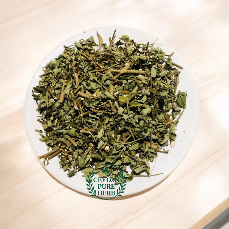 Wildcrafted Sida Acuta Organic Dried Leaves, Roots & Herb Fresh Air-Dried Herb