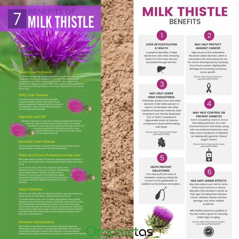 Organic Milk Thistle Seed Powder Natural Antioxidant Silybum Marianum gallery