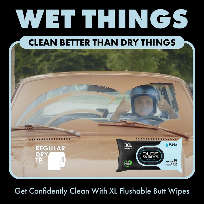 DUDE Wipes Medicated Flushable Wipes 48 Count Extra Large Witch Hazel Aloe Vera gallery