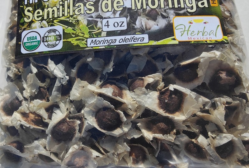 Semillas de Moringa, Moringa Seeds, Moringa oleifera Seeds, Organic moringa Seed gallery