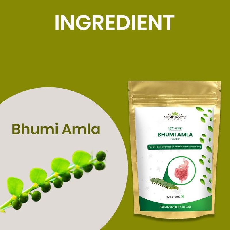 Bhumi Amla Powder Churn Organic And Pure 100 gm F/Ship gallery