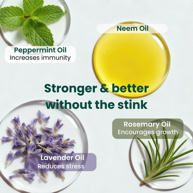 The Green Alcove Neem Oil For Plants Makes 30 Bottles Spray Bottle Essential gallery
