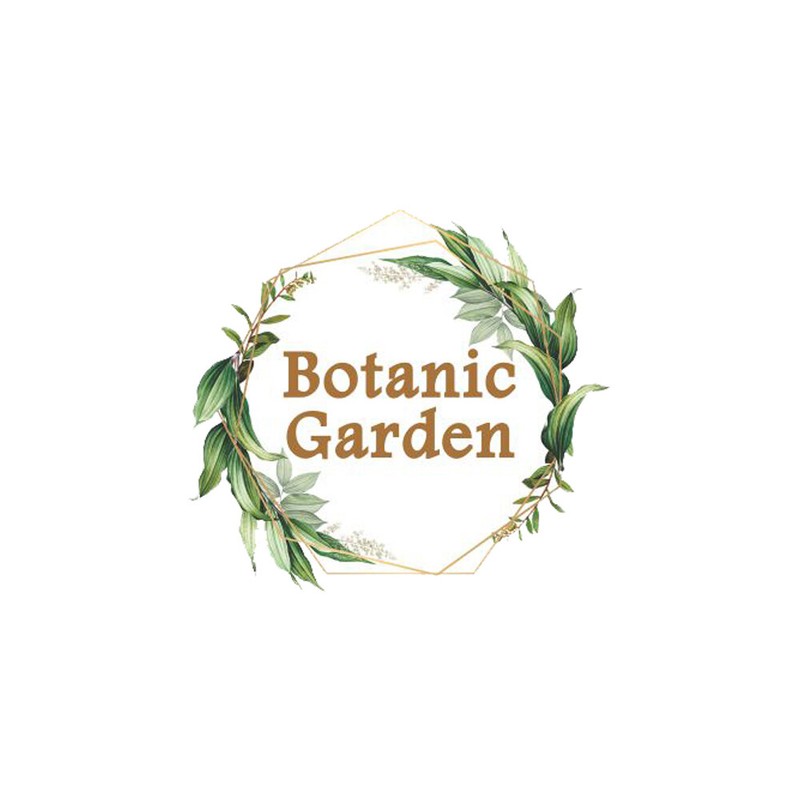 Botanic Garden Raw Bhumi Amla Or Phyllanthus Niruri 100% Pure Organic Herb gallery