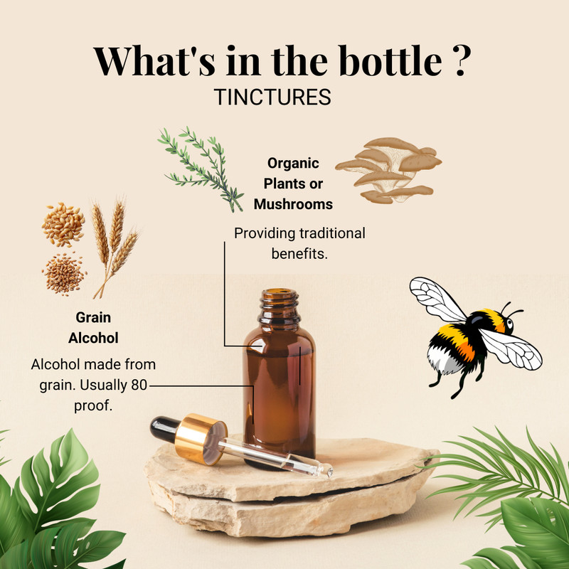 Northern Red-Belt Polypore Mushroom Tincture, Wild Organic Fomitopsis Mounceae gallery