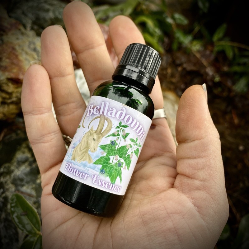 Belladonna Flower Essence Embodiment Anger Mood Fear Motivation Capricorn Moon gallery