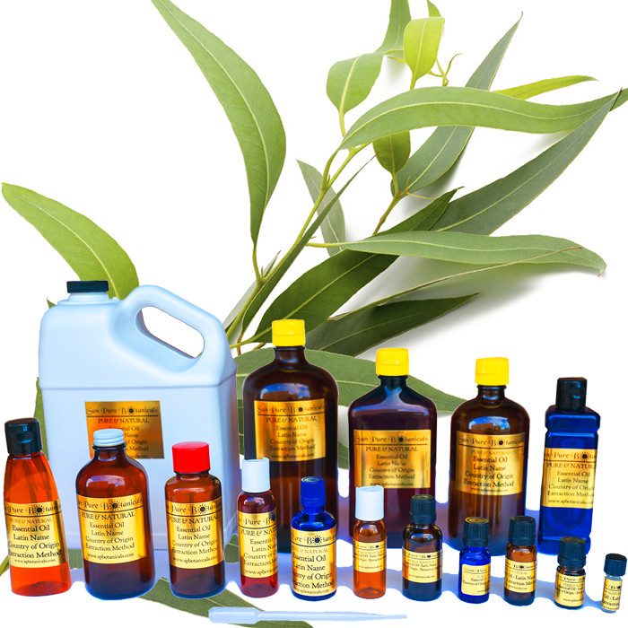 Sun Pure Botanicals Essential Oils Eucalyptus Radiata Oil 15ml Vial gallery
