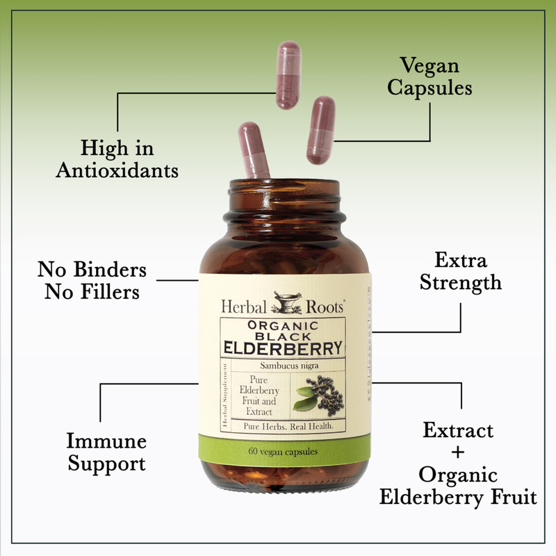 Herbal Roots Black Elderberry Capsules - Max Strength 4,300mg, 60 vegan capsules gallery