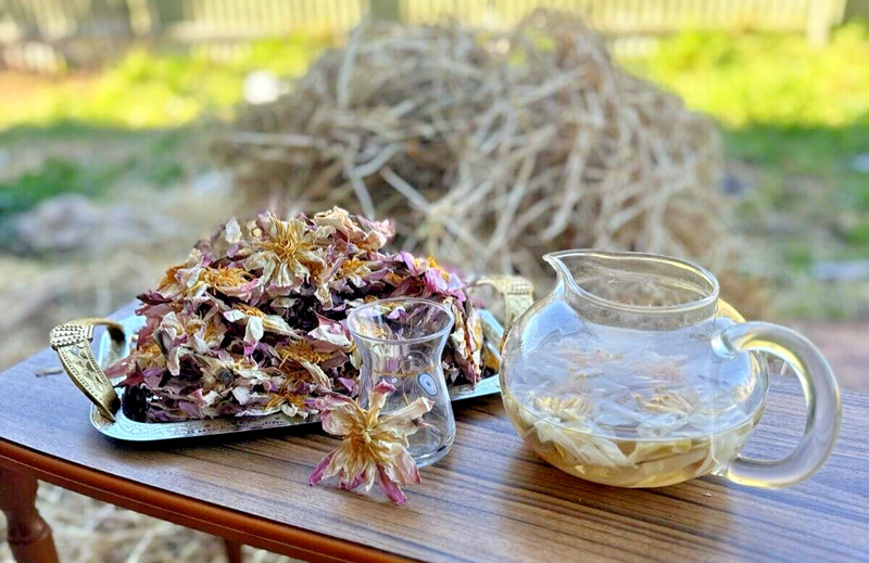 White Lotus Organic 25g Nymphaea ampla Whole dried flowers Tea