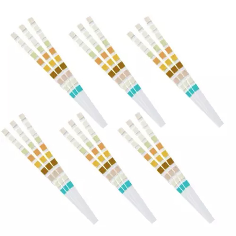 100pcs/Box Practical Urine Dipstick 10 Parameter Urinalysis Reagent Test Strips gallery