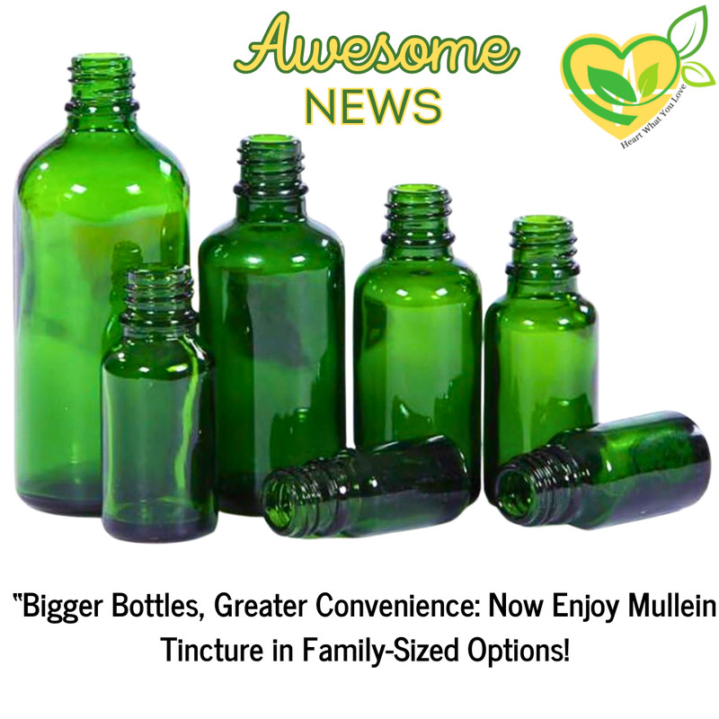 Skullcap Tincture Natural Liquid Drop 2oz gallery