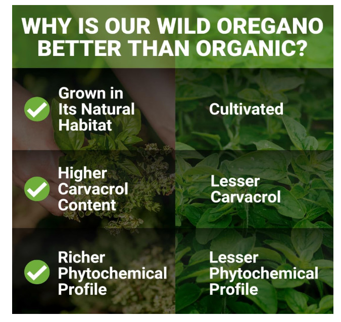 New Roots | Wild Oregano Oil Drops, C93 | 93% Carvacrol 1 Fl Oz (Pack of 1) gallery
