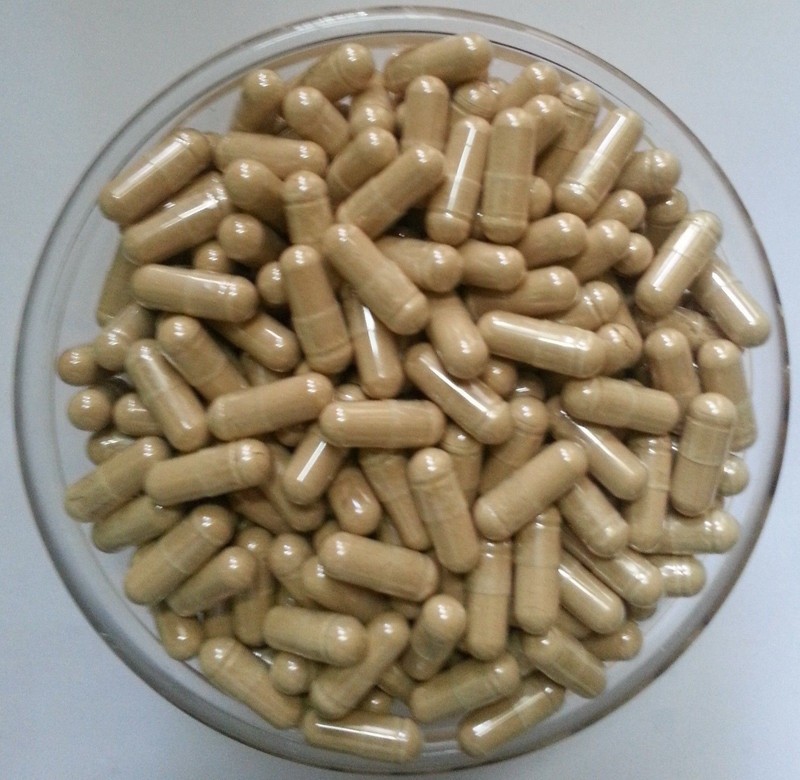 Panax Ginseng Extract 80% Ginsenosides Pure & quality Ginseng Extract CAPSULES