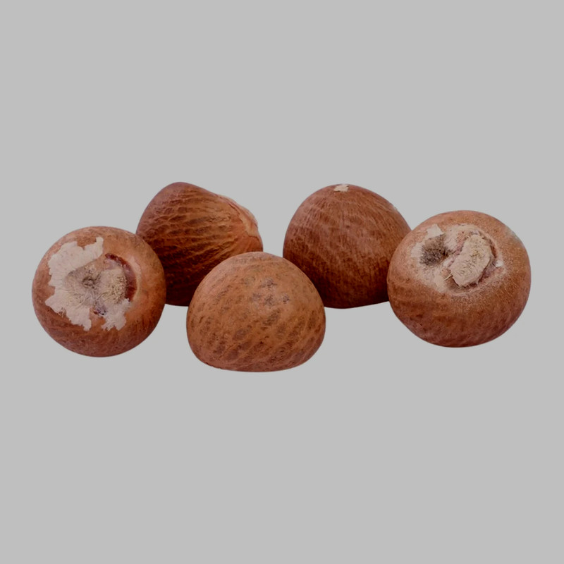Sri Lankan Dried Areca nut /Karunka nut Free Delivery World Wide Organic