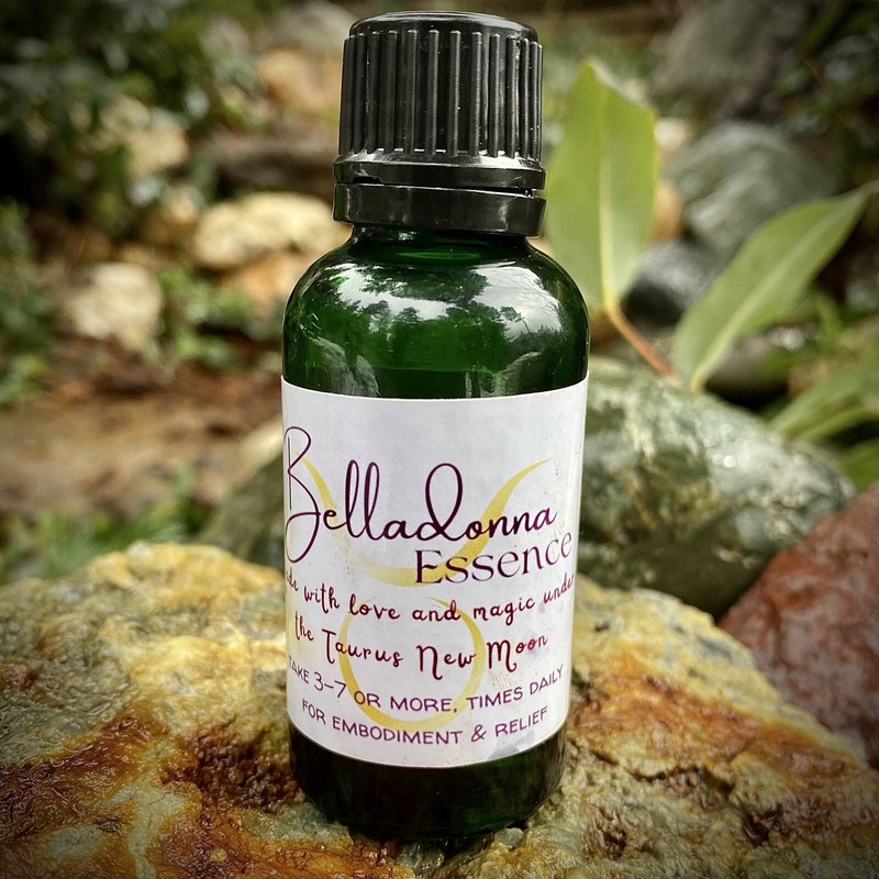 Belladonna Amethyst Flower Essence Embodiment Fear & Angry Looping Lions Gate ♌️ gallery
