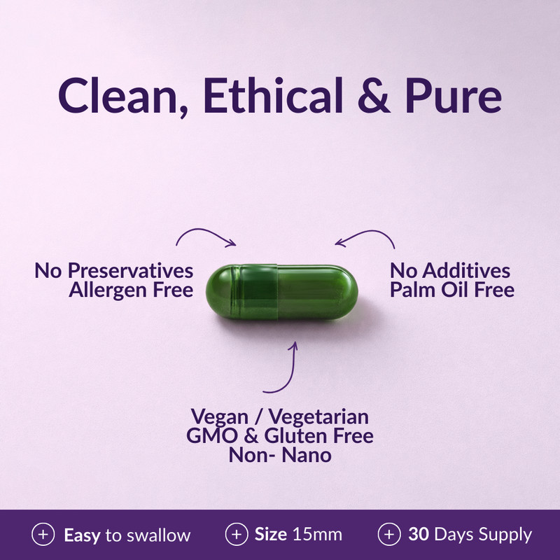 Milk Thistle Extract 15,600mg per Serving – 80% Silymarin Standardized gallery